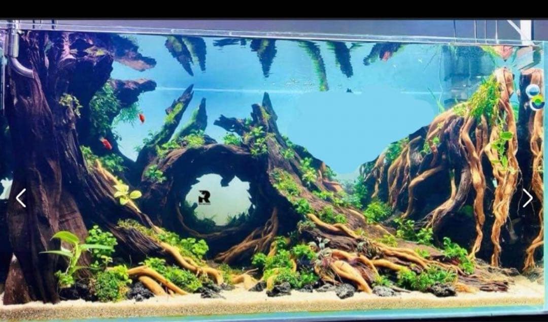 水槽用流木レイアウト　魚の水槽、 水草用の流木。流木アクアリウム　盆栽流木