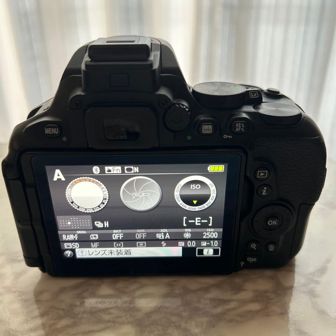 Nikon D5600 18-55mmレンズキット 動作確認済充電器2個ケース付