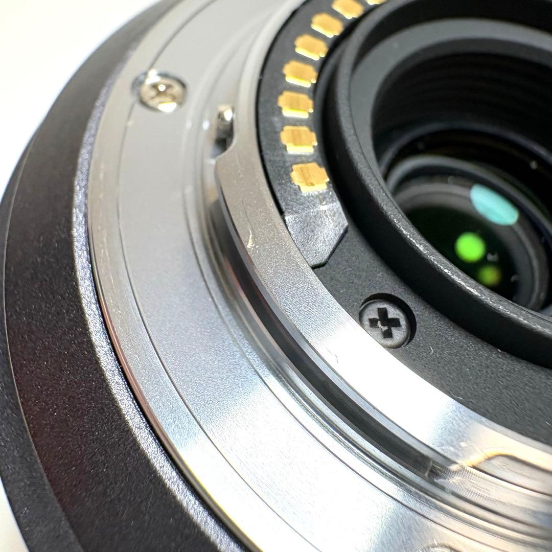 Lumix DMC-GF1 レンズキット&望遠ズームレンズ パナソニック