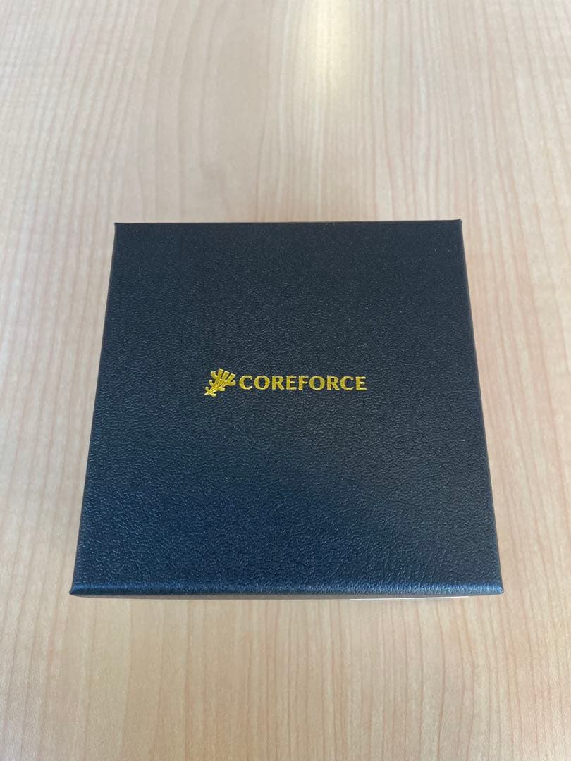 COREFORCE ネックレス 保証書付き