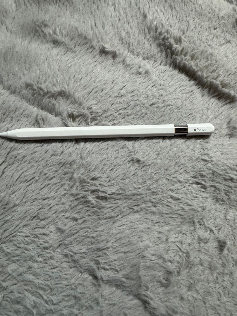 Apple Pencil ホワイト（USB-C）