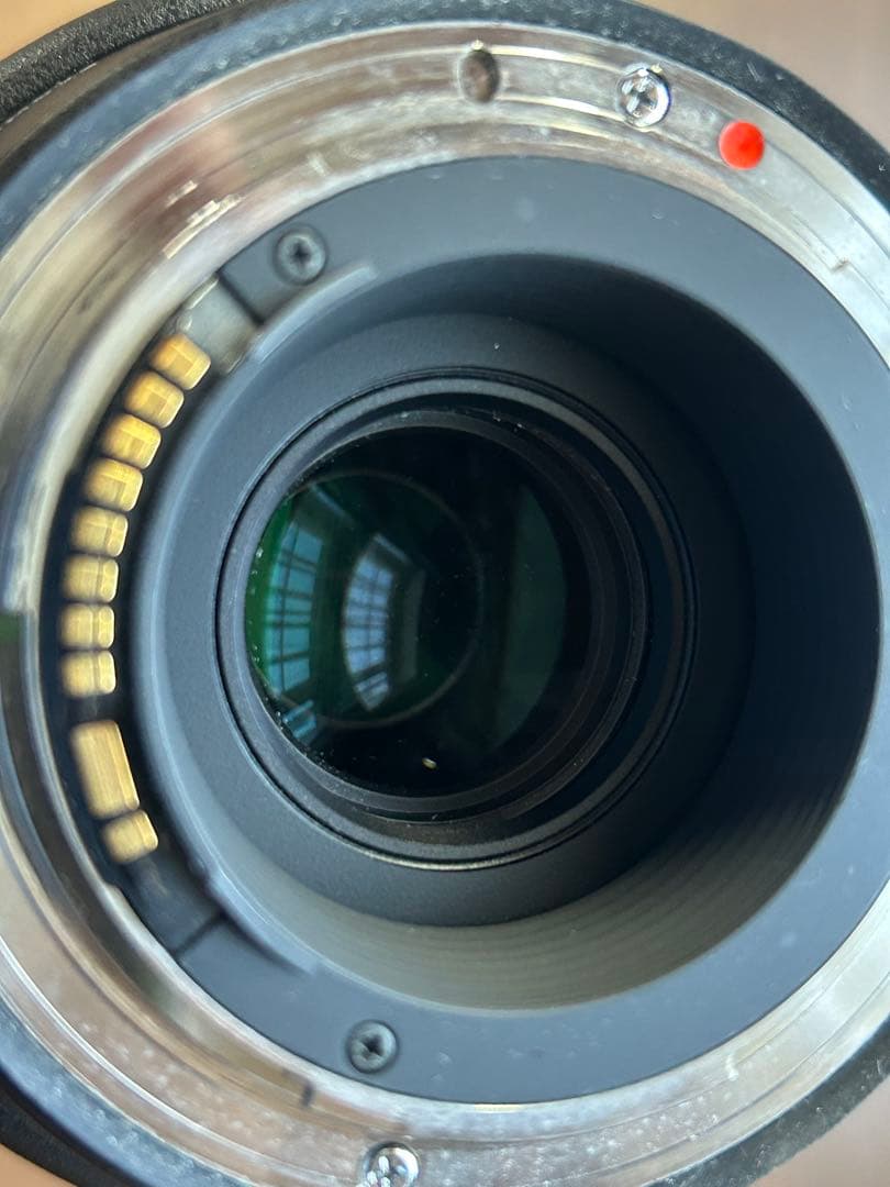 Sigma 150-600mm F5-6.3 Cont Canon EF用
