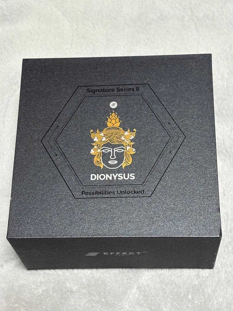 VISION EARS PHÖNIX ほぼ新品　おまけケーブル付き