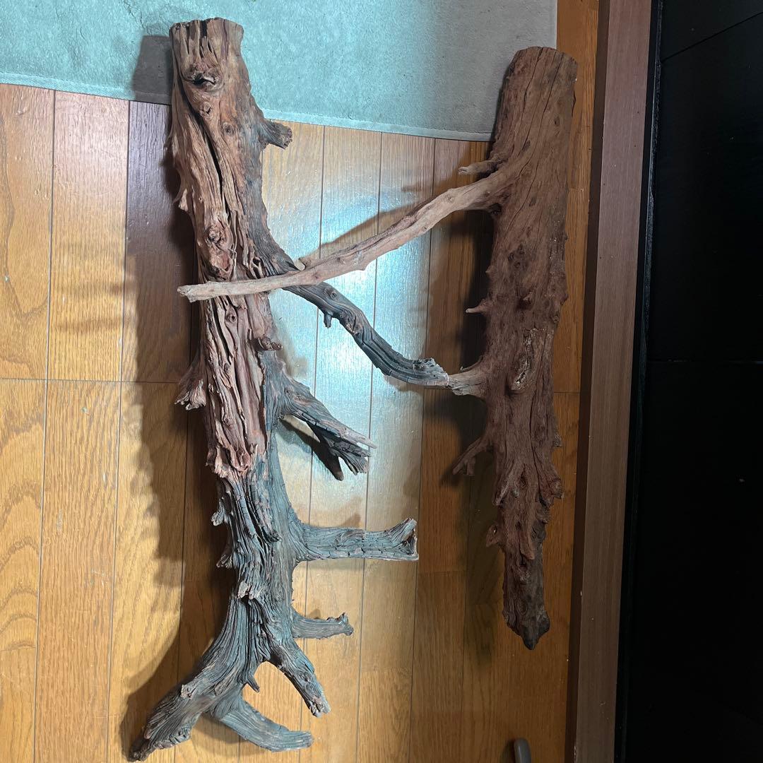 水槽用流木 2本セット