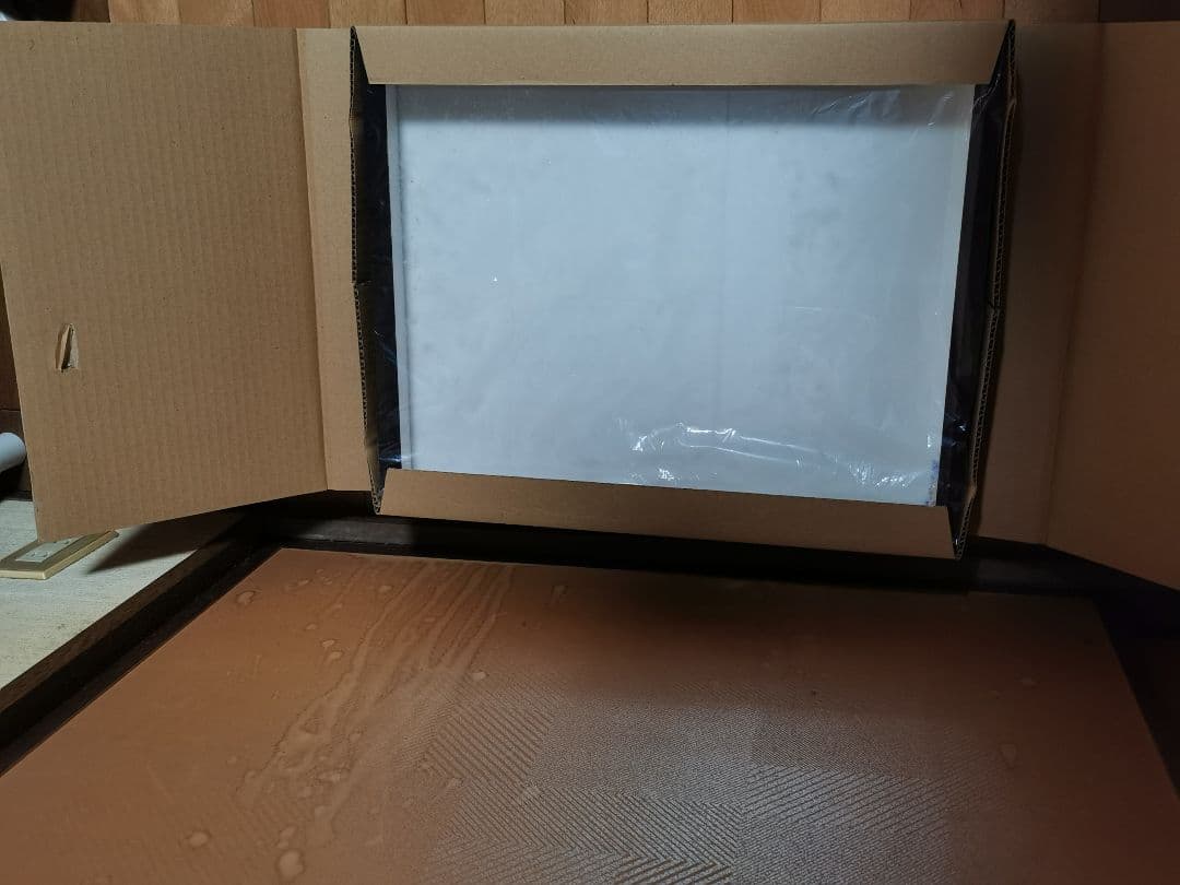 ドイツ型標本箱 5個セット 昆虫標本 ドイツ箱