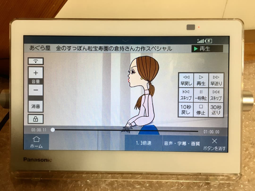 ○Panasonic ポータブルTV UN-10T7 プライベートビエラ18年製