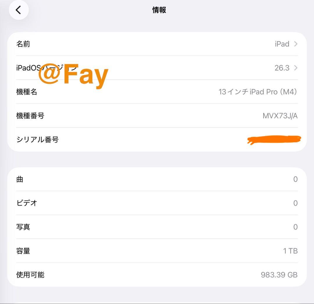 Apple iPad Pro 13インチ M4 1TB シルバー WiFi