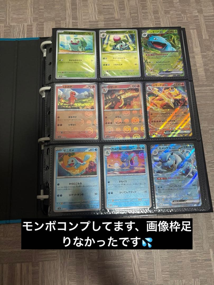 ま*り様 ポケカ 引退品 大量
