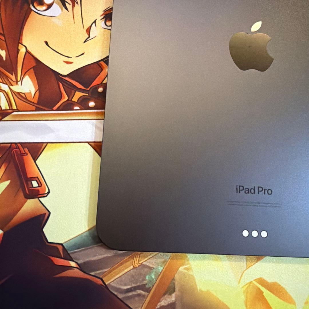 iPad Pro Wi-Fiモデル　11インチ　256GB M4