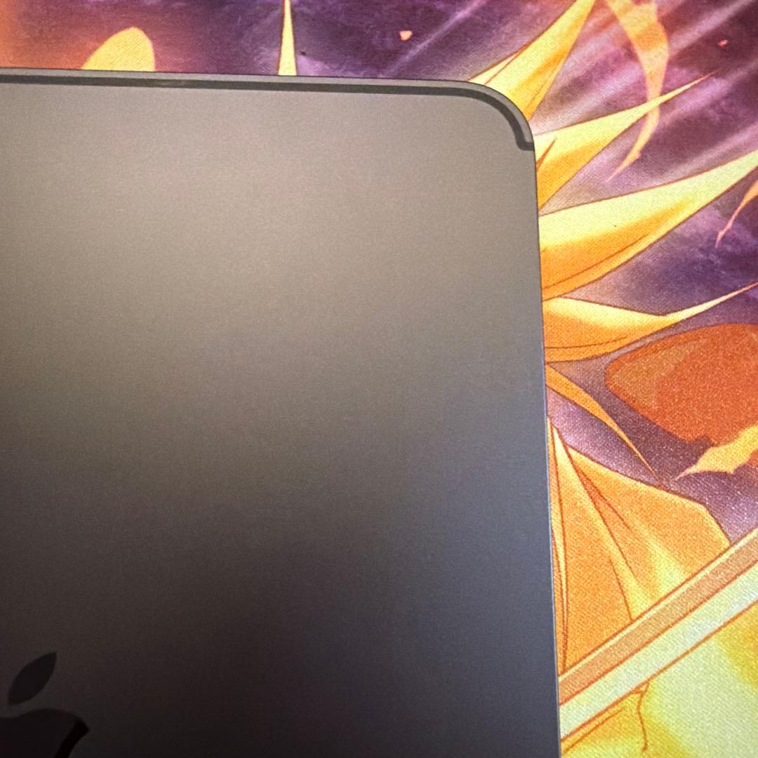 iPad Pro Wi-Fiモデル　11インチ　256GB M4