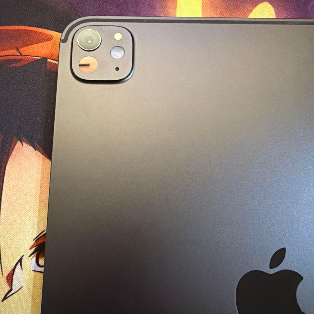 iPad Pro Wi-Fiモデル　11インチ　256GB M4