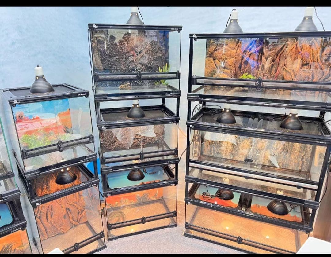 爬虫類両生類飼育ケージ組み立て式 ガラス飼育ケージ60x40x80cm引取り限定