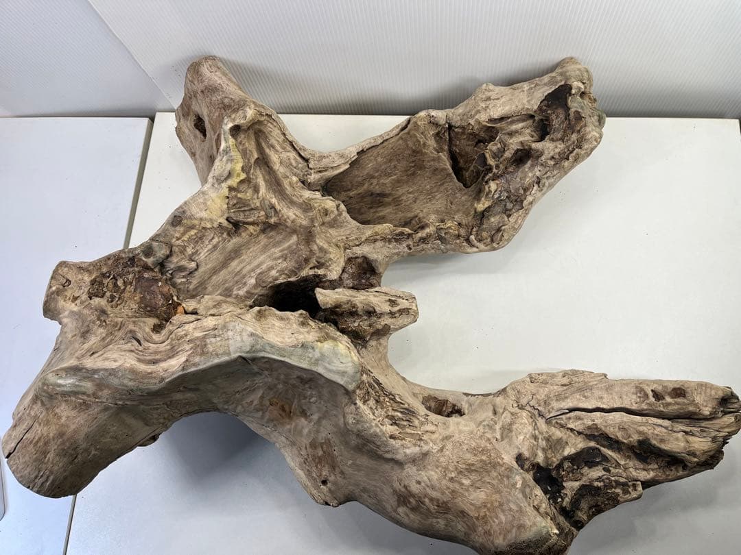 W42特大流木 アク抜き済み流木 爬虫類シェルター 登り木 インテリア 生け花
