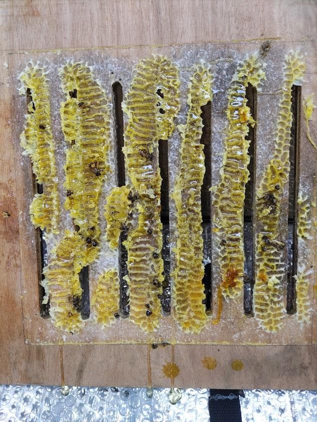 日本蜜蜂 重箱式巣箱4段 スライド底板付巣門台座　スノコ付き
