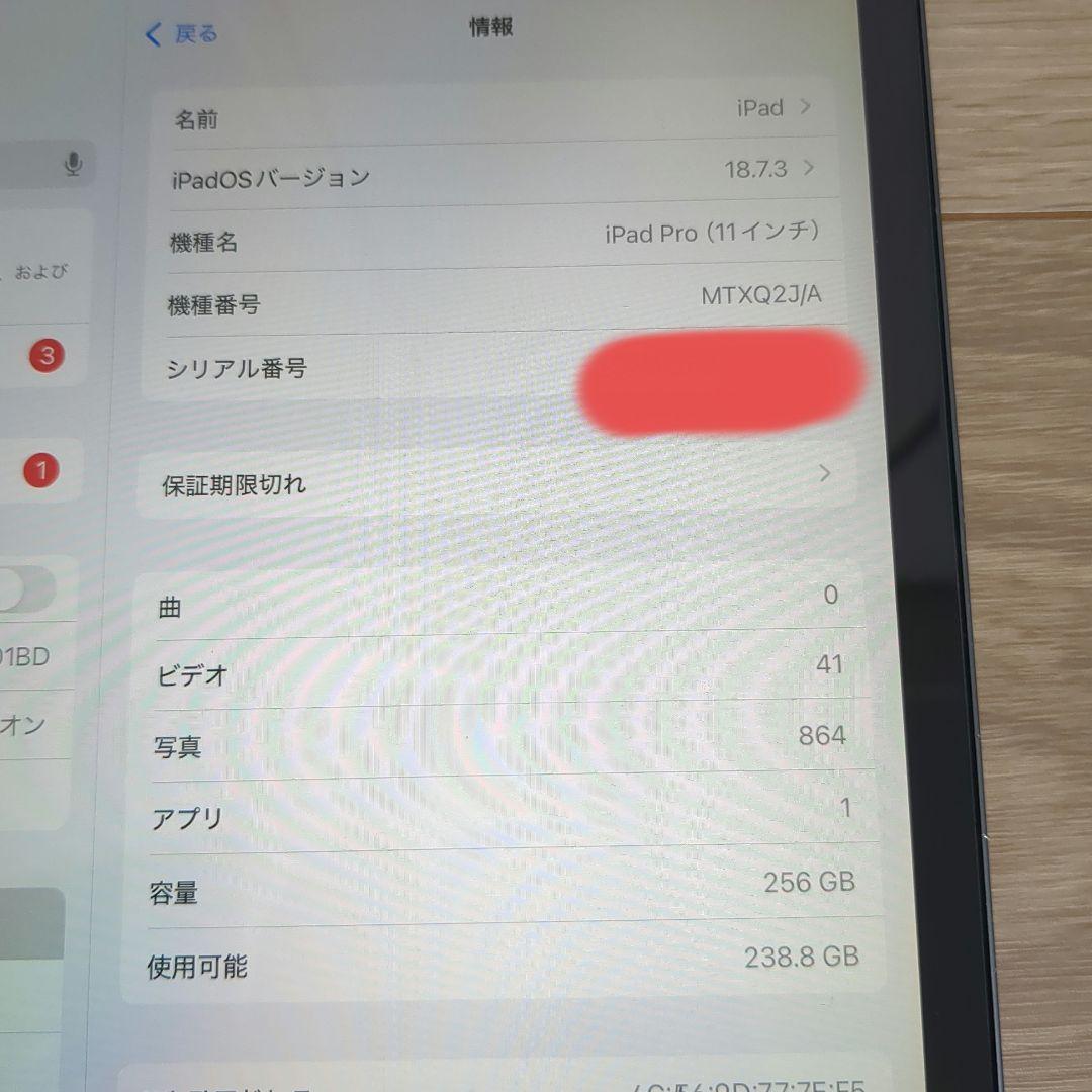 iPad Pro 11インチ 第1世代 256GB