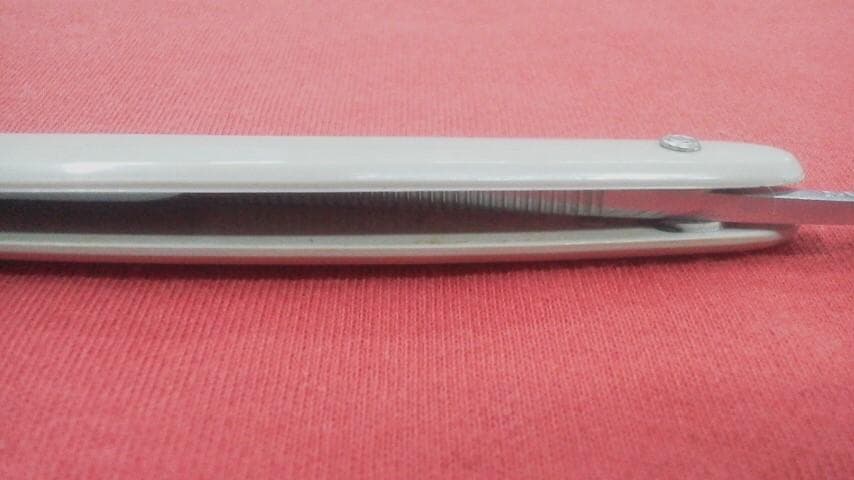 フィラモニカ FILARMONICA カミソリ 西洋剃刀 10-N