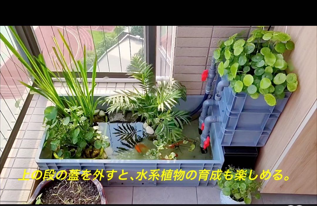コンパクト小型　水槽池用万能フィルター 濾過槽　外部式飼育濾過器装置