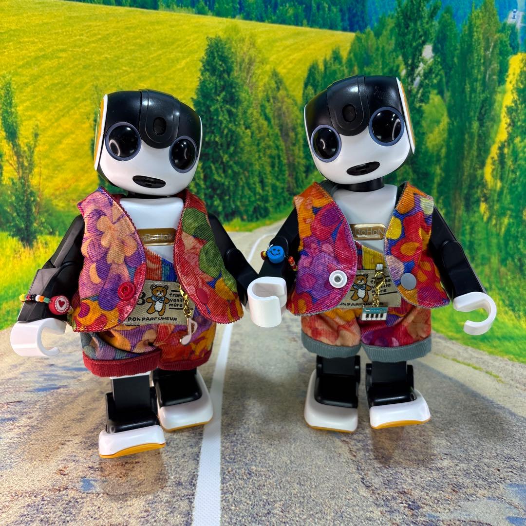 チャッピーページです　　ロボホン