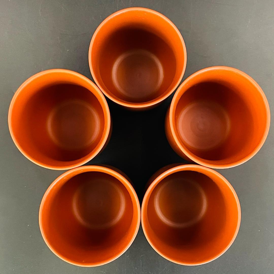 【常滑焼 朱泥 泰月】急須 湯呑5客 茶器セット 煎茶器 在銘 陶印R8SA14