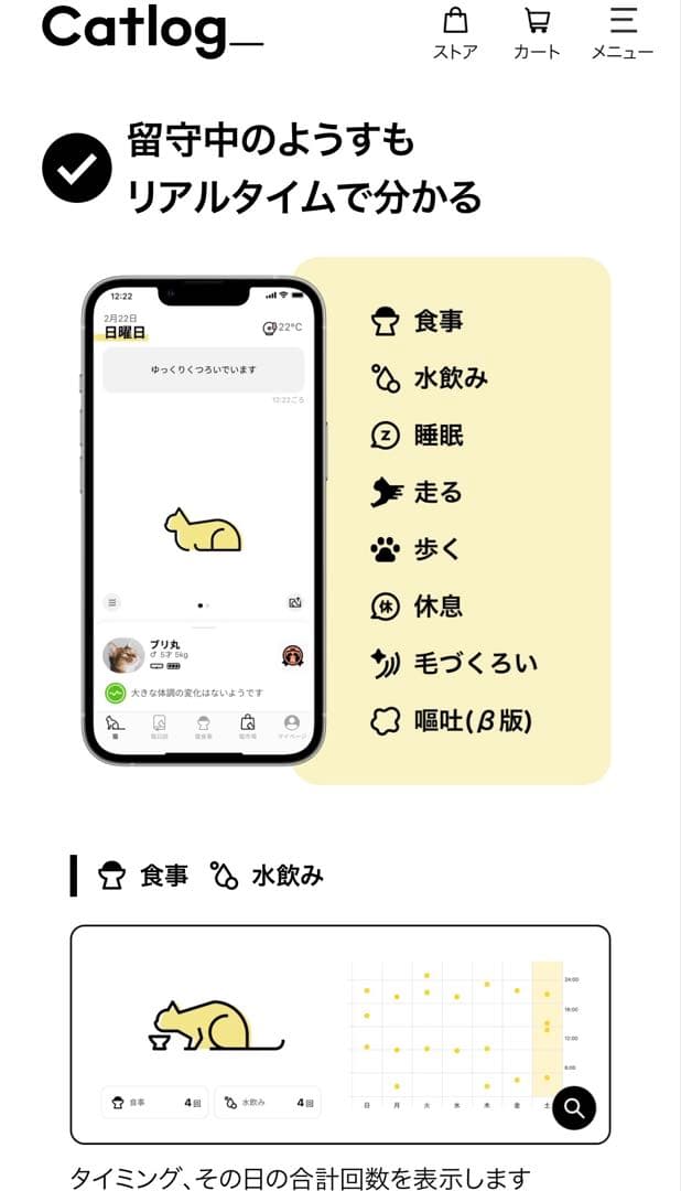 catlog 新品
