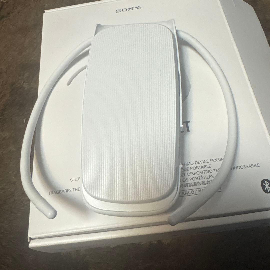 SONY REON POCKET5 レオンポケット5 ケース付き