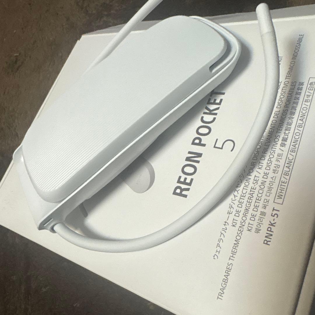 SONY REON POCKET5 レオンポケット5 ケース付き