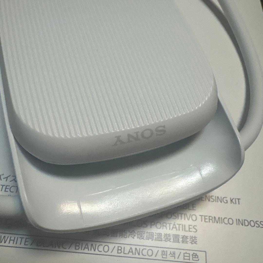 SONY REON POCKET5 レオンポケット5 ケース付き