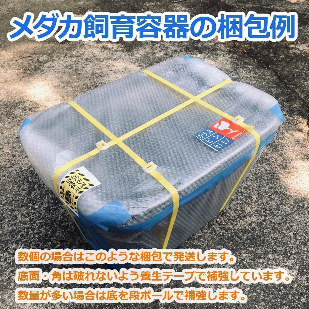 【新仕様】メダカ飼育ケース 36㍑x3個（4色あり）オーバーフロー対策済 金魚