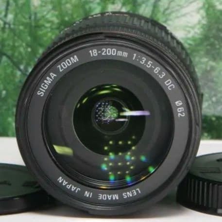 ❤近くから遠くまでこれ１本☆シグマ 18-200mm DC キャノン用❤