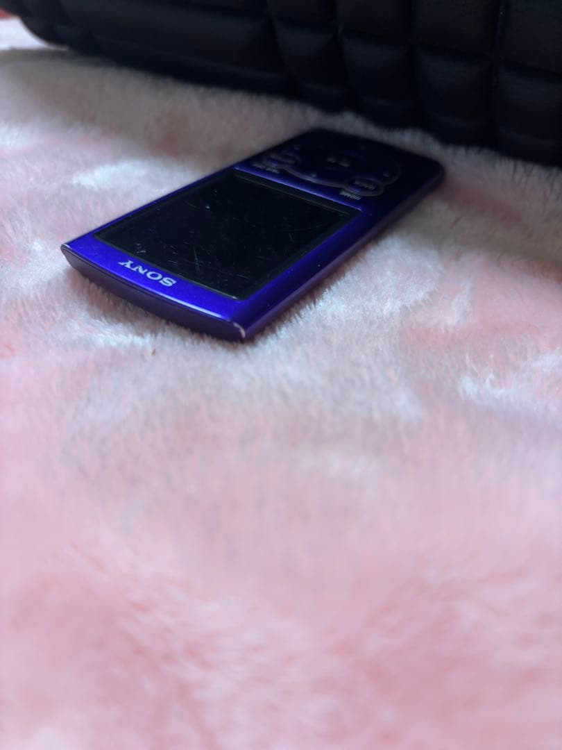 SONY NW-S766 パープル 29GB