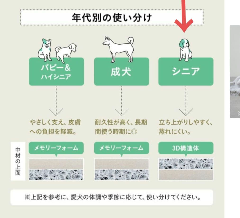 kz_tamama neDOGko マスタードイエロー 犬用ベッド