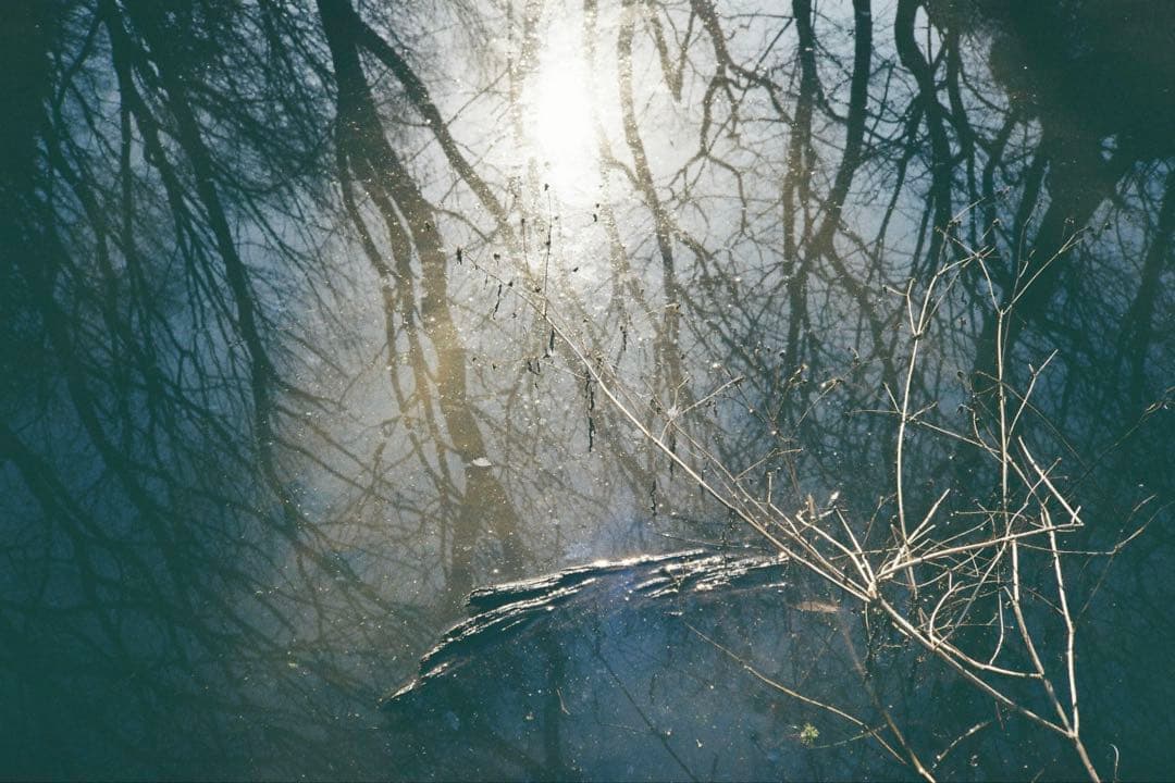【撮影済み】PENTAX ESPIO 125M コンパクトカメラ