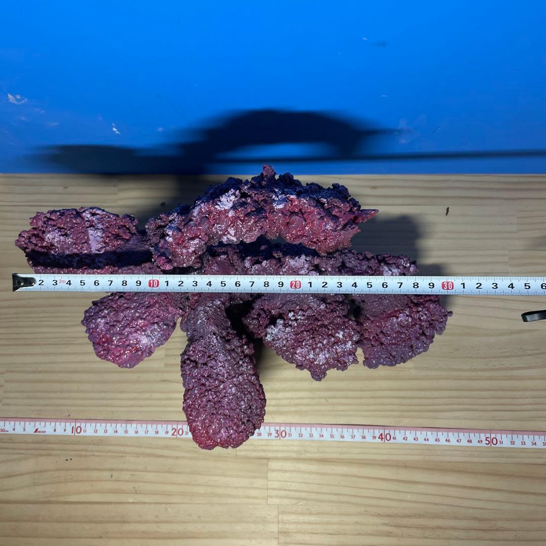 人工ライブロック　HR04 アク抜き済み安心塗料使用