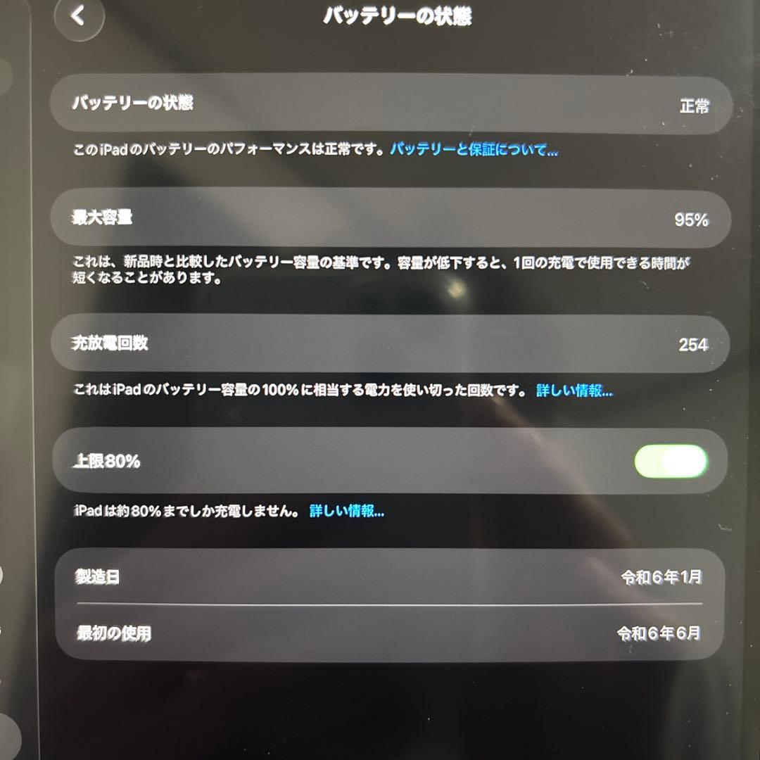 Apple iPad Air シルバー ケース付き