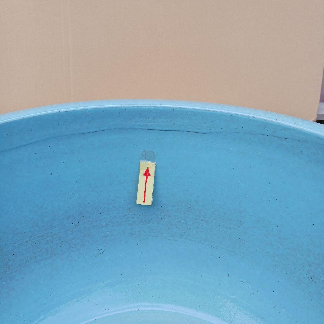 新品　特大51　陶器　睡蓮鉢　メダカ鉢　難有　ラリマーブルー　スカイブルーLWC