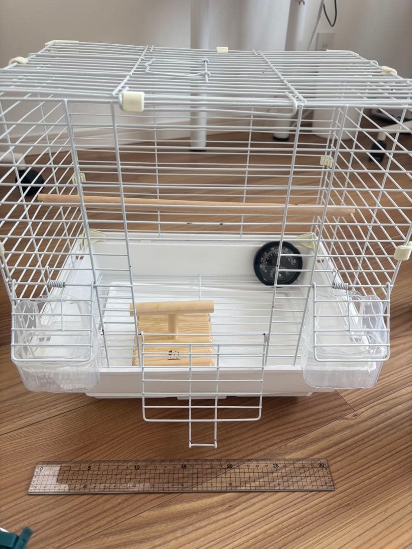 雛からの鳥飼育セット