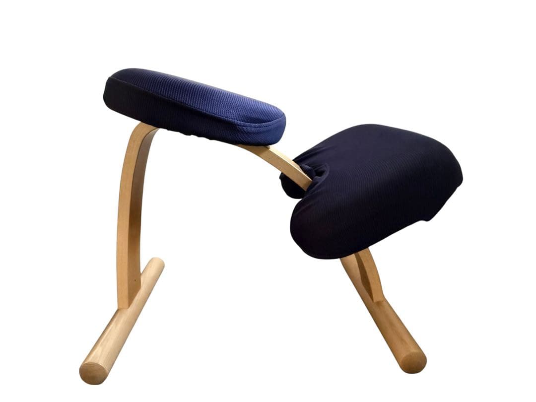 【送料無料】バランスラボ バランスイージー ネイビー 専用カバー&調整ガイド付属