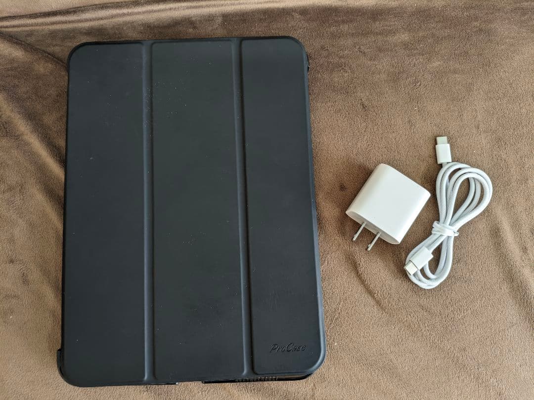 Apple iPad A16 シルバー バッテリー100%