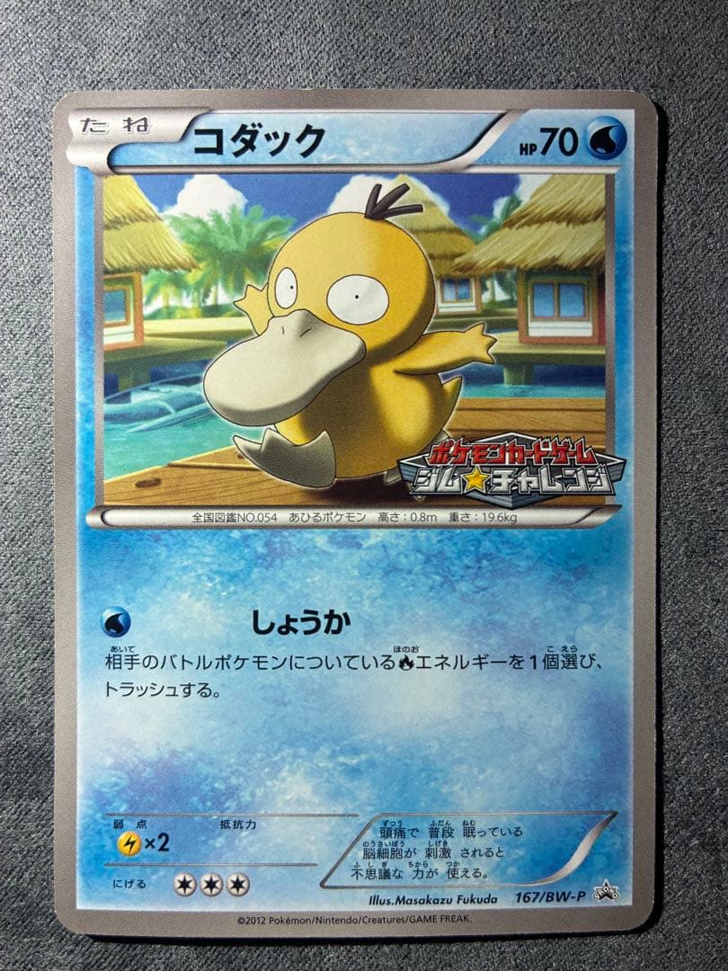 コイキング コダック カメール フシギダネ　ジムチャレンジ　プロモ　PROMO