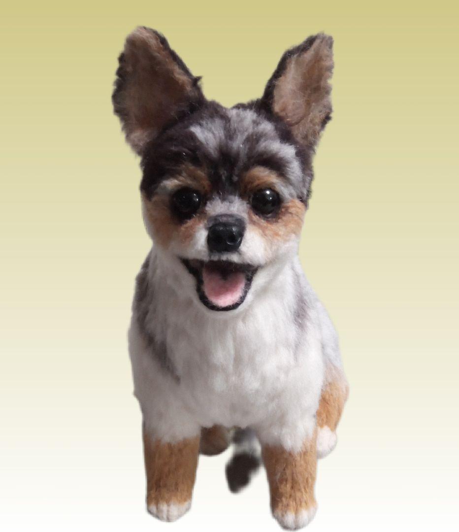 愛犬さんの羊毛オーダー専門・わんちゃん・受付中