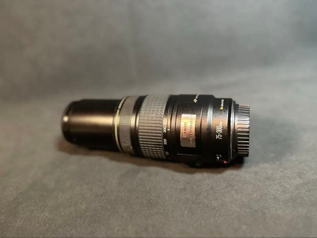 Canon EF75-300mm F4-5.6 IS USM 望遠 レンズ