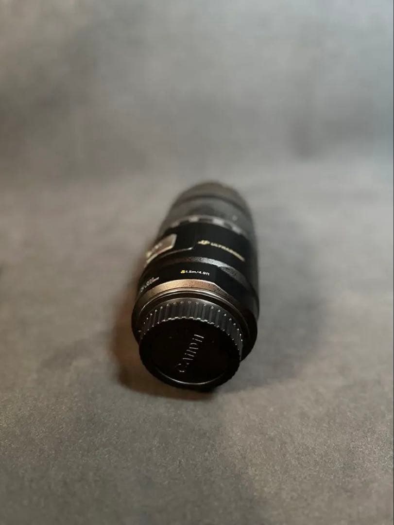 Canon EF75-300mm F4-5.6 IS USM 望遠 レンズ