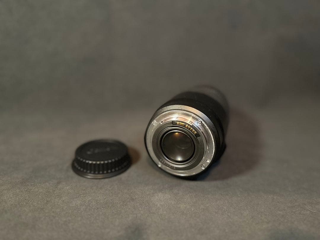 Canon EF75-300mm F4-5.6 IS USM 望遠 レンズ