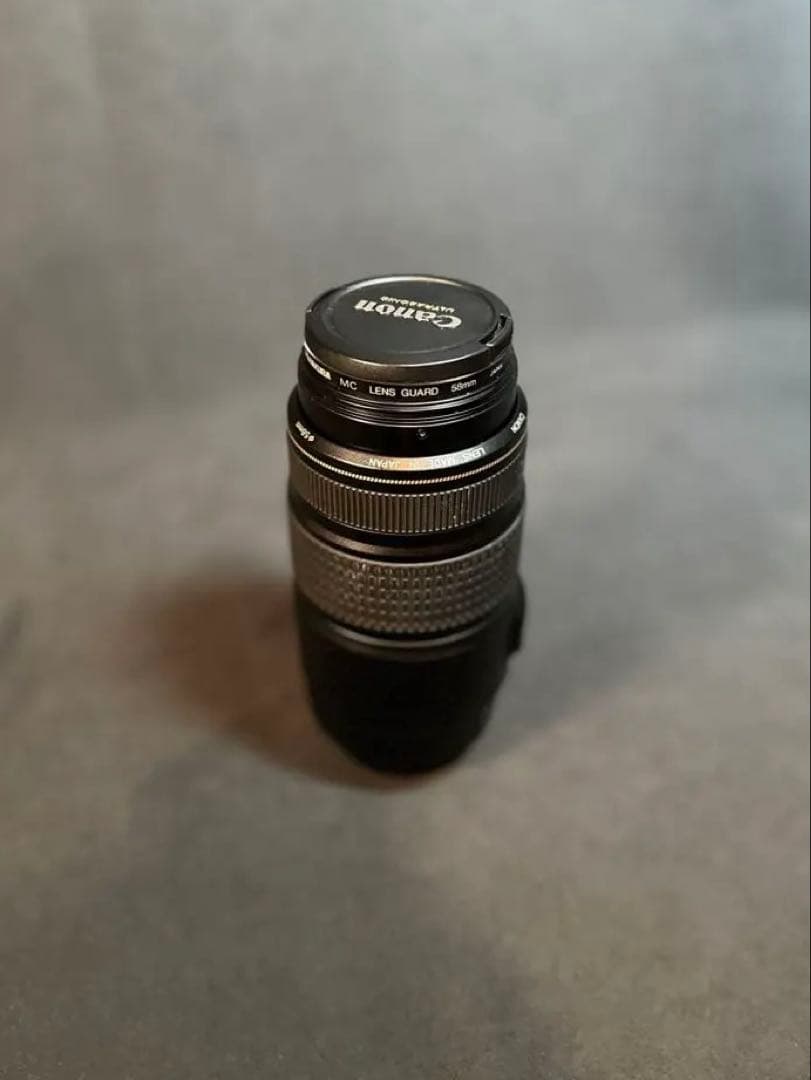 Canon EF75-300mm F4-5.6 IS USM 望遠 レンズ