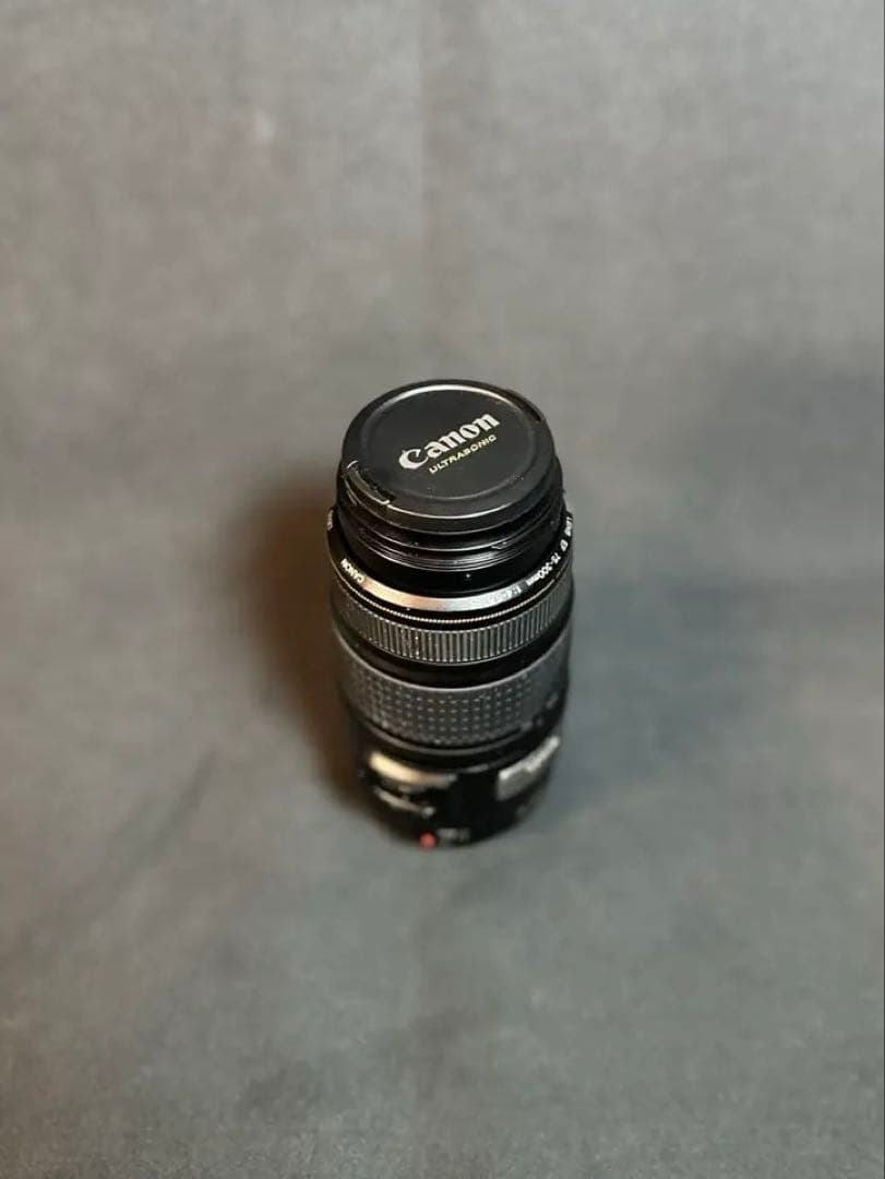 Canon EF75-300mm F4-5.6 IS USM 望遠 レンズ