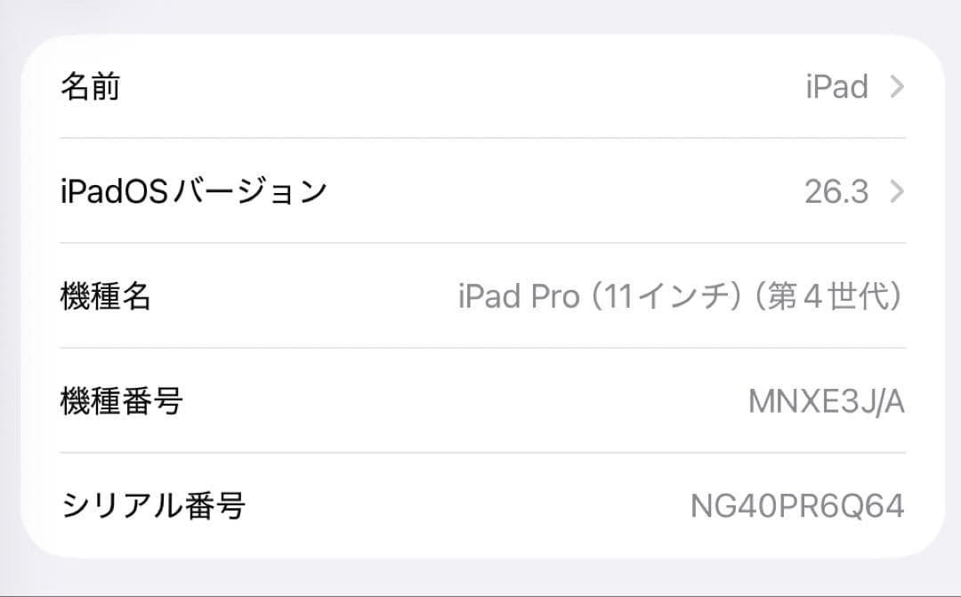 iPad Pro シルバー Wi-Fi 128GB シルバー 11インチ