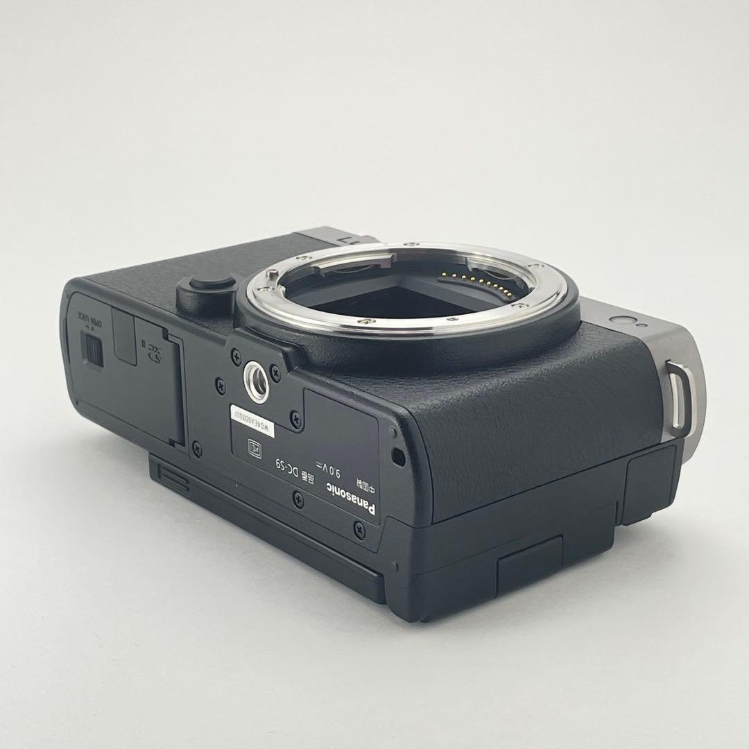 【極上美品・整備点検済み】Panasonic Lumix S9 シルバー ボディ