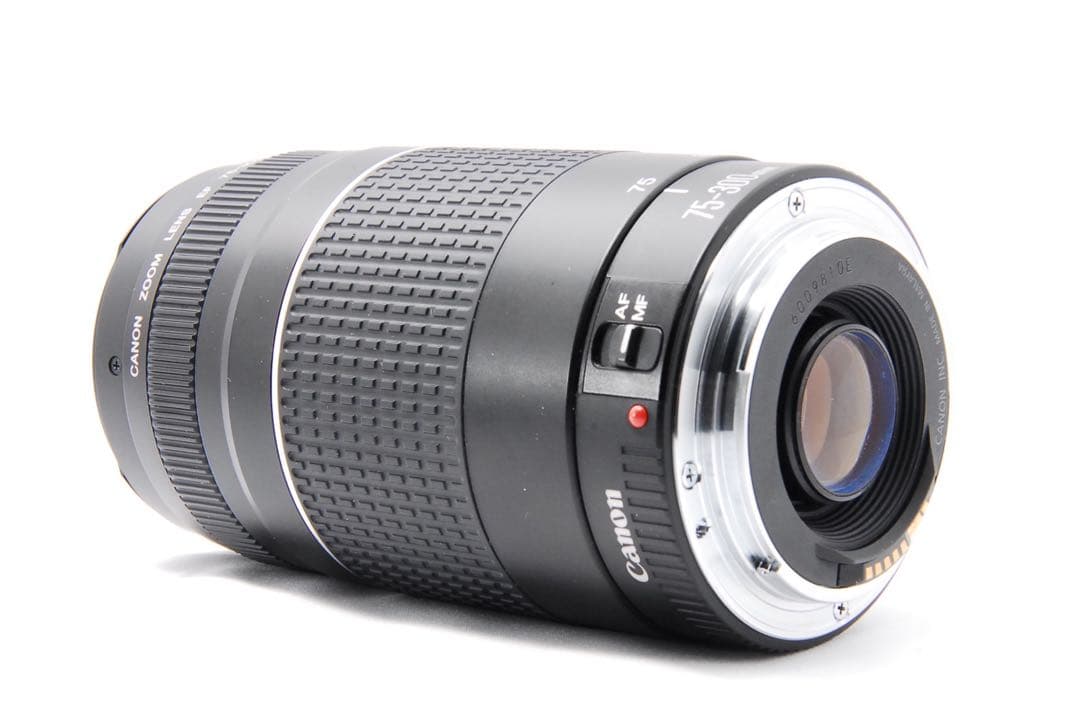 スマホだと届かない距離へ　Canon キャノン EF 75-300mm Ⅲ