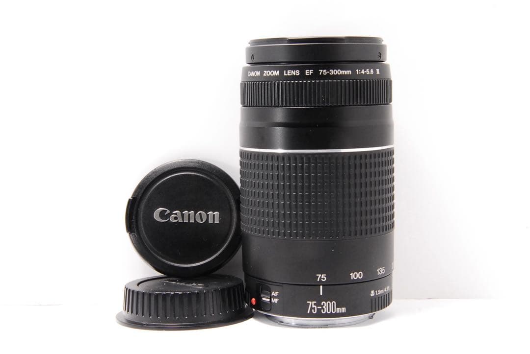 スマホだと届かない距離へ　Canon キャノン EF 75-300mm Ⅲ