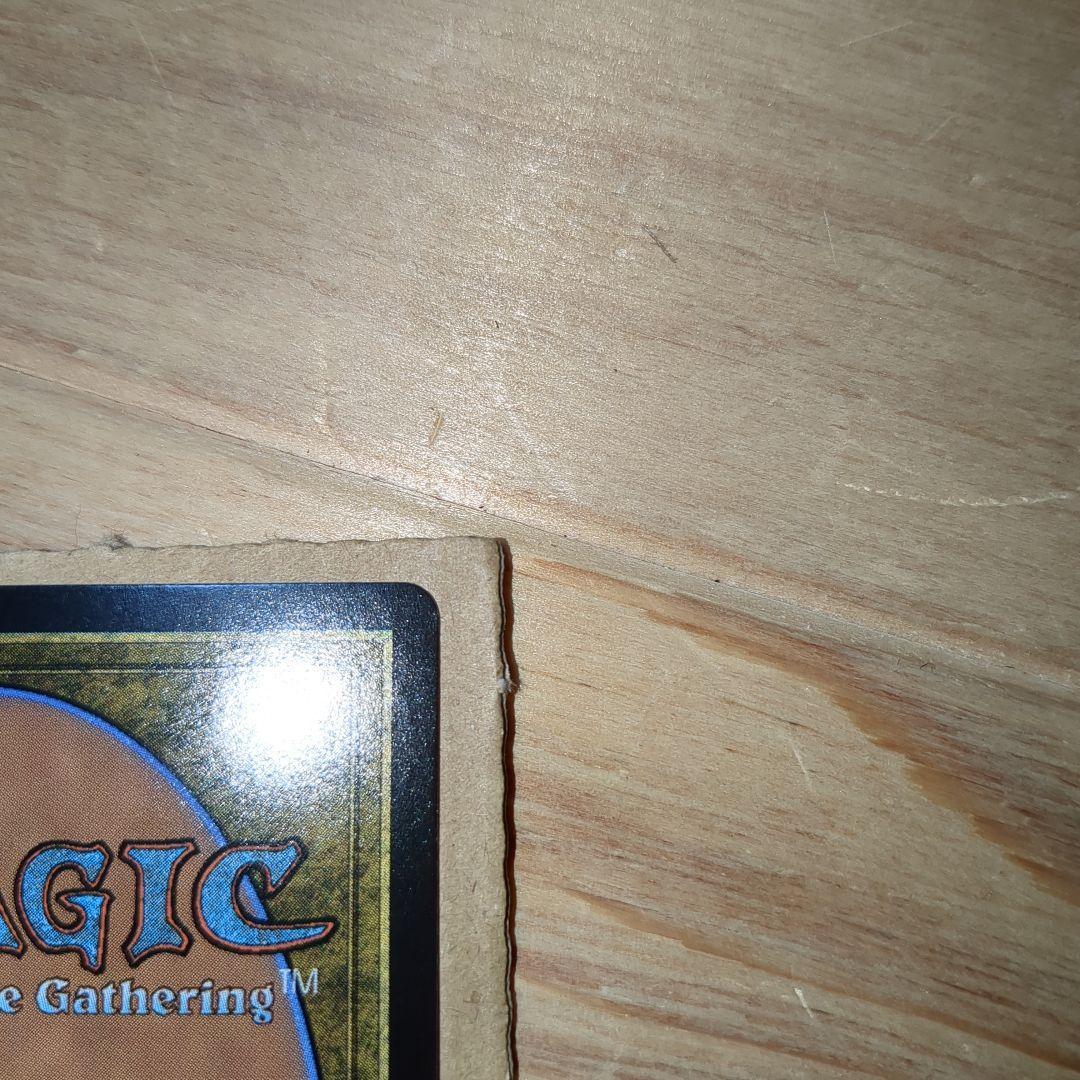 MTG　旅するチョコボFoil　神話レア